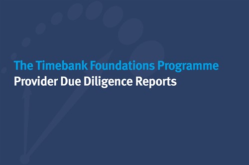 Due Diligence Reports